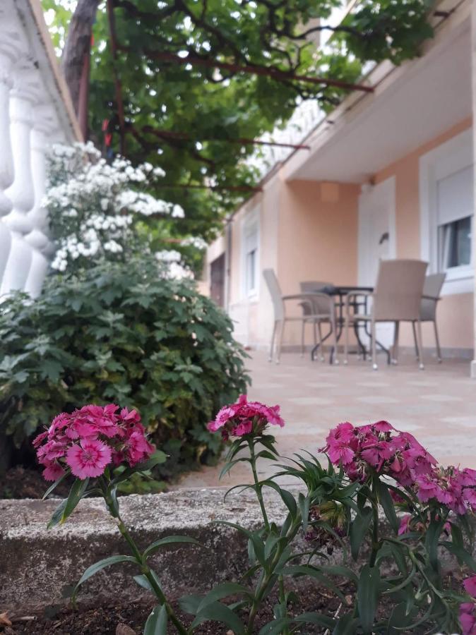 Apartment Tanja Trebin Dış mekan fotoğraf